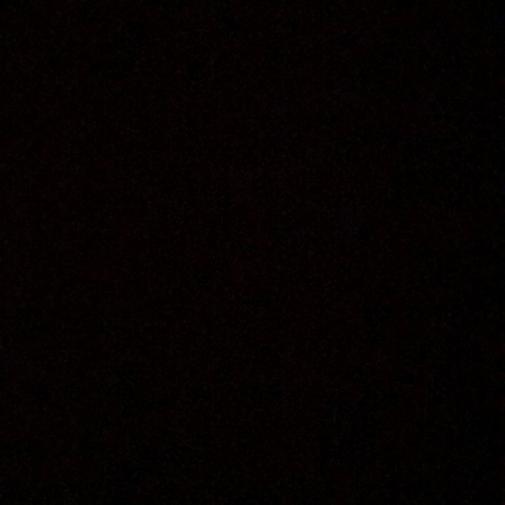 Meet your Posher, Dalila